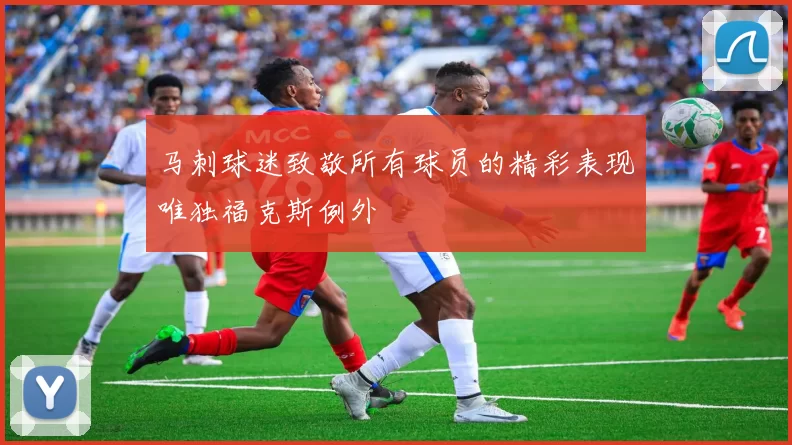 马刺球迷致敬所有球员的精彩表现唯独福克斯例外